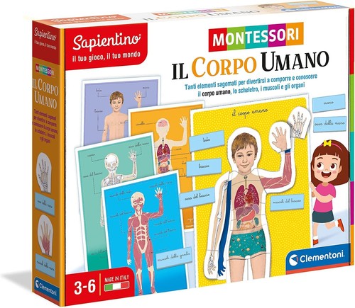 Sapientino corpo umano - sapientino, il