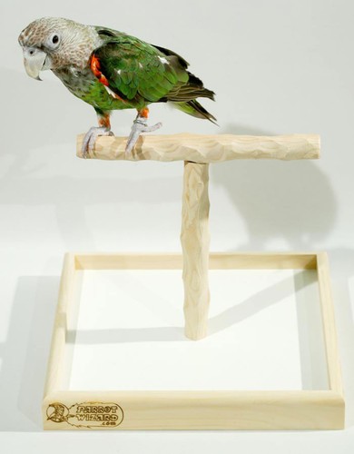 Deluxe tabletop perch - tabletop,