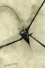 GILBERTO ZORIO ;arte povera