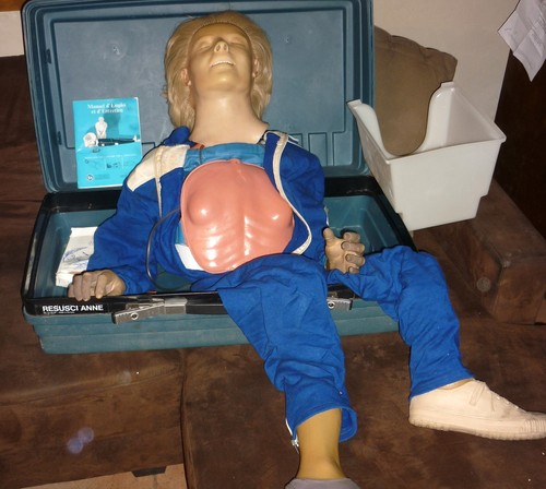 Vintage anatomical laerdal - anatomical,