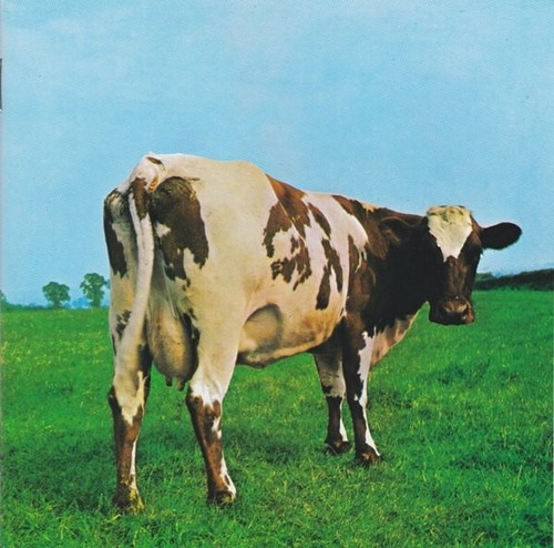 Pink floyd atom heart mother - pink,