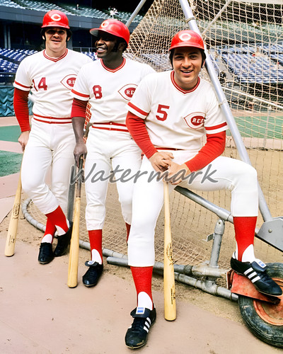 Cincinnati reds big red - reds,