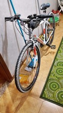 Mountain Bike 29 Bachini Pro