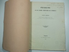 Eugene Sismonda, Prodrome