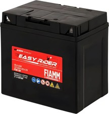 Batteria Moto FIAMM FT30-12B