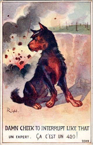 Arte destra tedesca - tedesca, pinscher