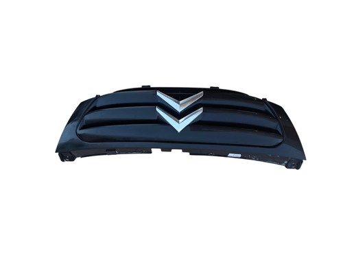 Griglia anteriore citroen - griglia,