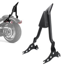 Schienale Sissy Bar passeggero