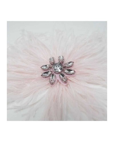 Applicazione moda piume - piume, di