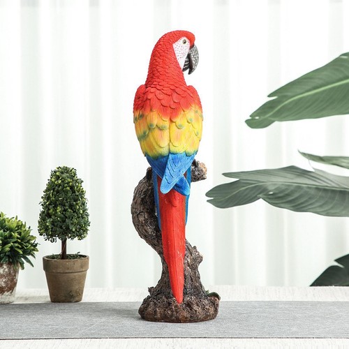 Statua pappagallo in - statua,