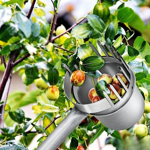 Raccoglifrutta facile - , da
