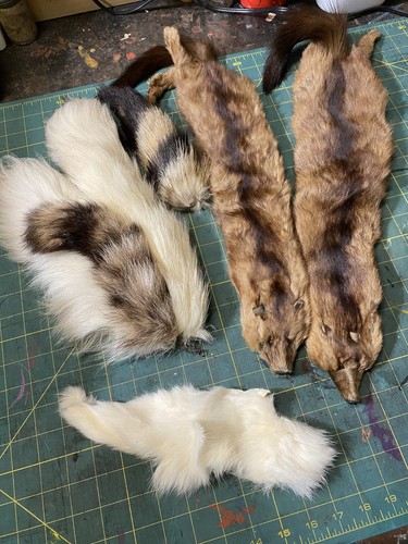 Stola visone critters - di,