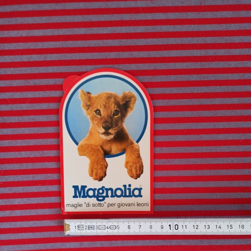 Magnolia maglie intimo
