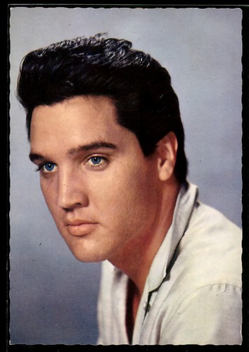 Musicista elvis presley - elvis,