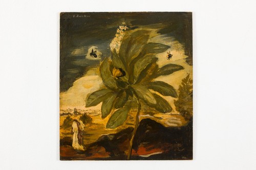 Quadro luigi zuccheri - luigi, |
