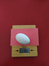 UOVA DI OCA TOLOSA FECONDA adatte per incubatrice o per alimentazione