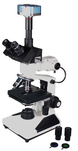Microscopio campione