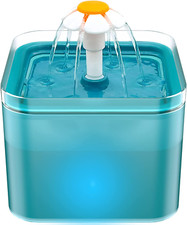 Fontanella Acqua per Gatti