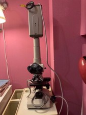 Microscopio binoculare