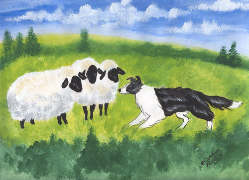 Border collie stand - 8,