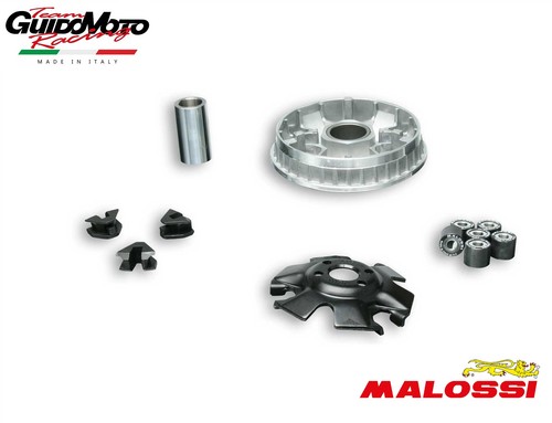 Variatore malossi multivar - malossi,