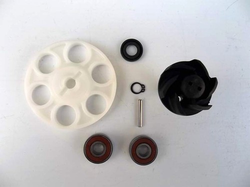 Kit revisione pompa acqua - revisione,