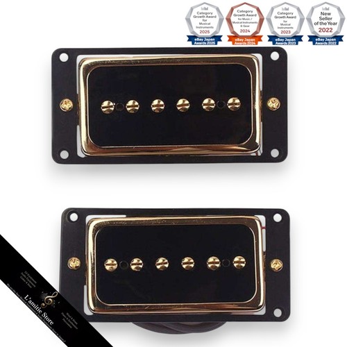 Alnico humbucker pickup set - 5,
