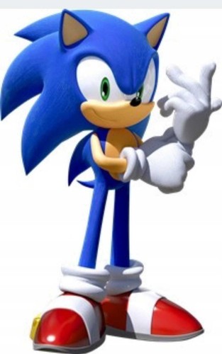 Sonic the hedgehog - the,