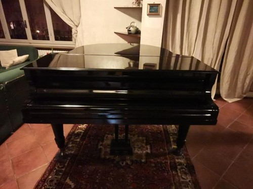Pianoforte coda nero - pianoforte,