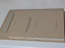 GIULIANO RUGGIERI Lotto 19
