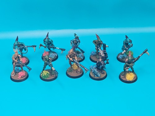 Kroot carnivore squad - carnivore,
