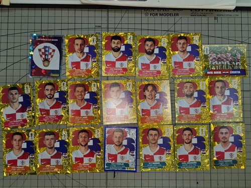 2026 panini fifa - panini, cup