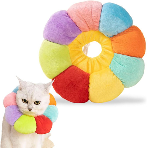 Collare elisabettiano cane - collare,