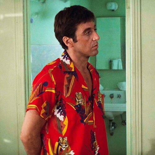 Foto scarface scatto - foto, scarface: