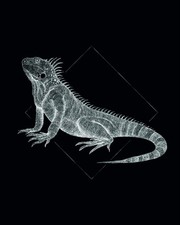 Komar WTD P077D-P077D - Poster