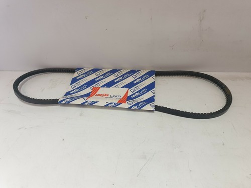 Cinghia alternatore originale
