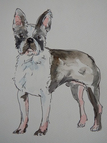 Quadro acquerello cane