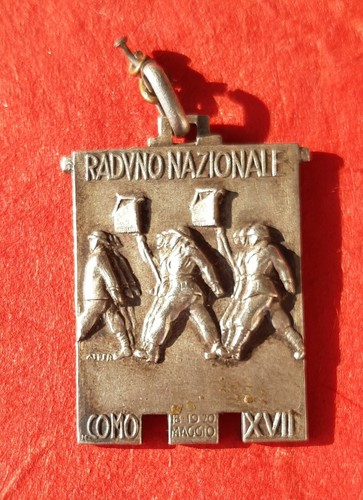 Medaglia raduno nazionale - medaglia,