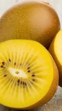 Pianta di Kiwi Giallo Arnold