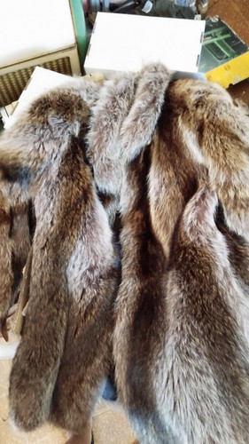 Pelliccia vintage marmotta - pelliccia,