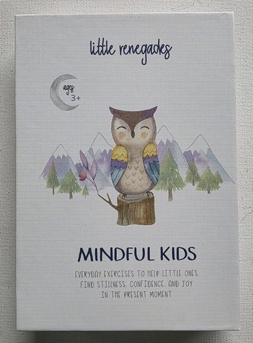 Little renegades mindful kids - mindful,