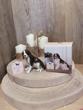 Springer Spaniel ornamento in