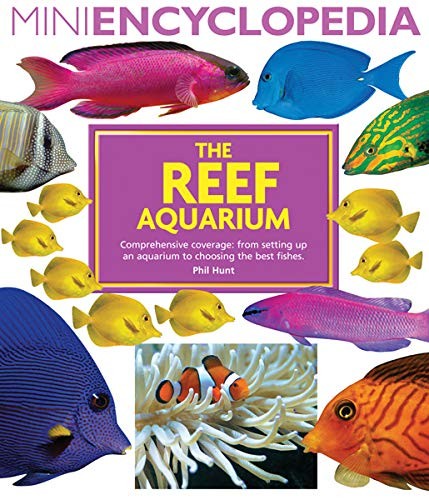 Reef aquarium mini - reef, (mini
