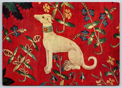 Cartolina whippet dog lady - lady, e