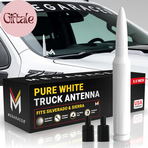 Antenna proiettile bianco