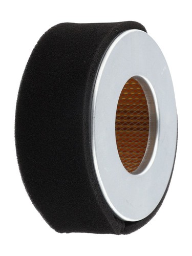 Elemento filtro generatore
