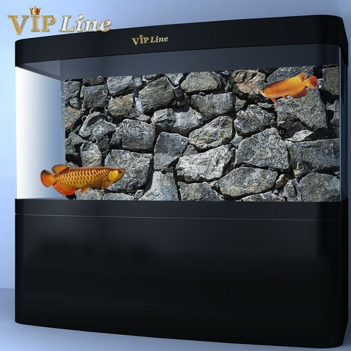 Aquarium background poster - aquarium,