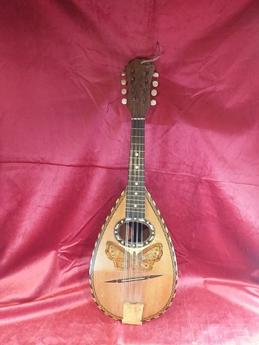 Mandolino farfalla strumento - mandolino,