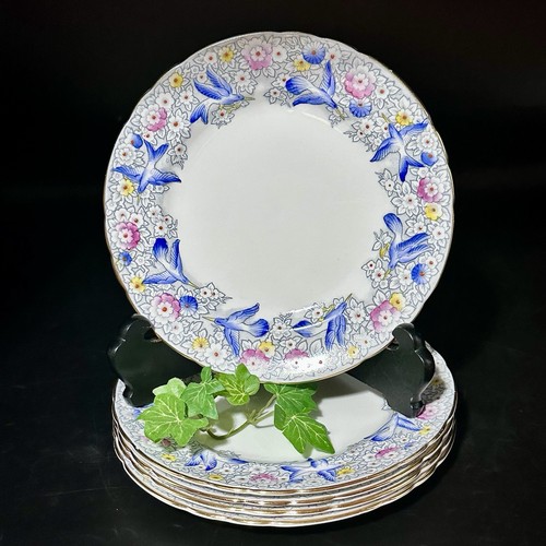 Set piatti insalata - di,