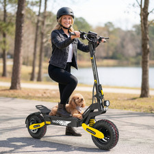Adult Off-Road Electric